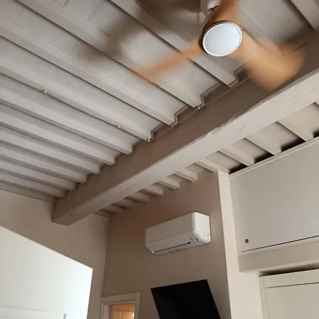 Paguro, Piccolo E Tranquillo *